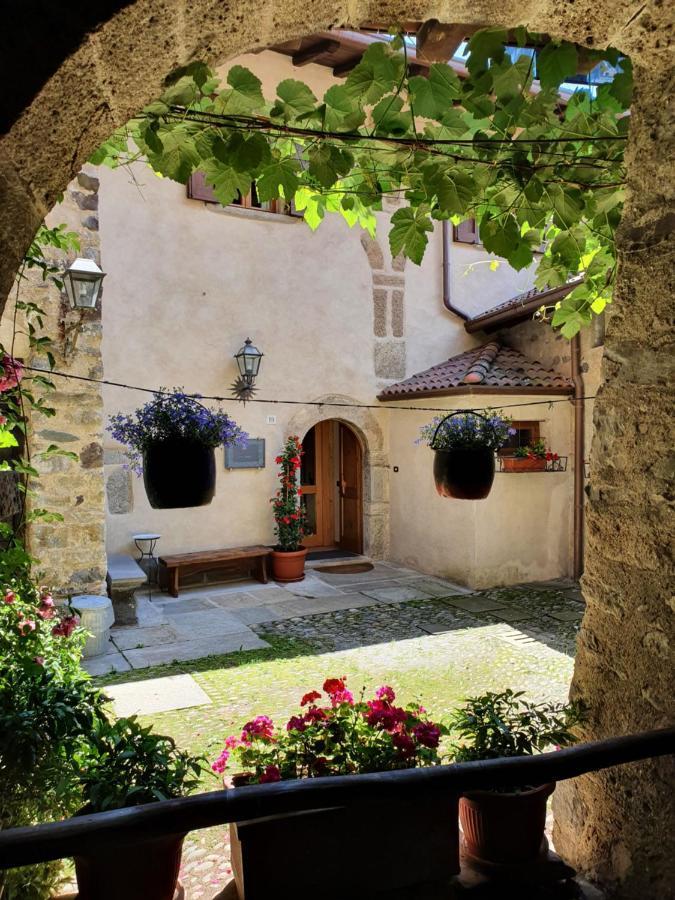La Tana Del Tasso Rooms&Breakfast Camerata Cornello Экстерьер фото